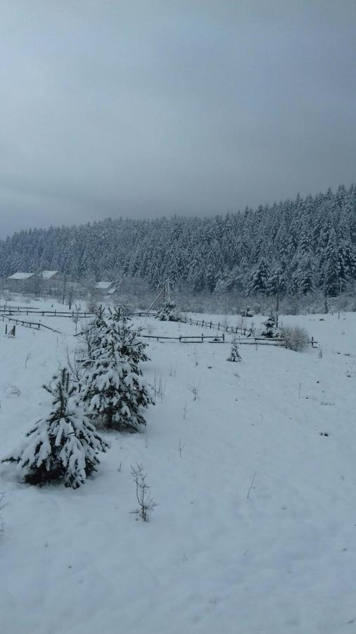 Котедж “Гуркало" Korchin Dış mekan fotoğraf